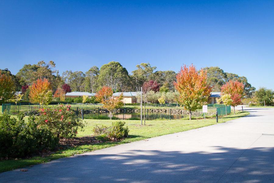 Potters Apartments Cessnock Eksteriør bilde